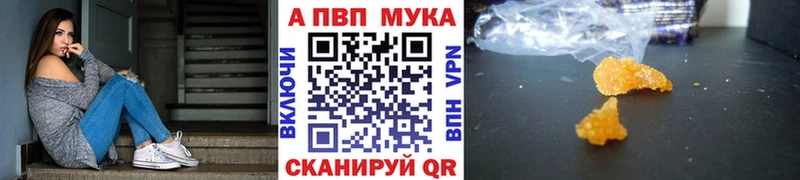 Купить закладки  Каменногорск  A-PVP Соль 