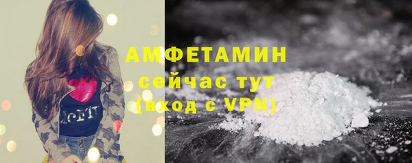 индика Инсар