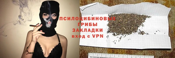крисы Инта