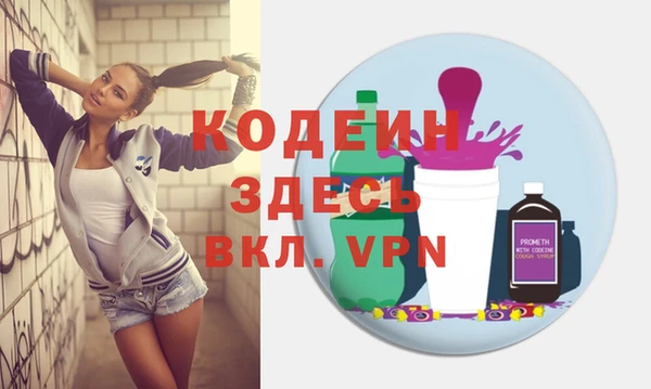 индика Инсар