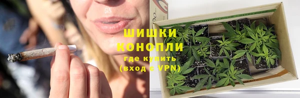 крисы Инта