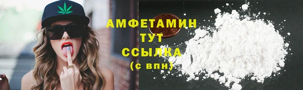 крисы Инта