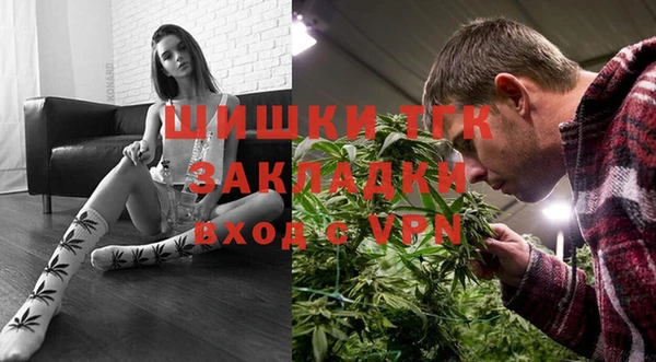 крисы Инта