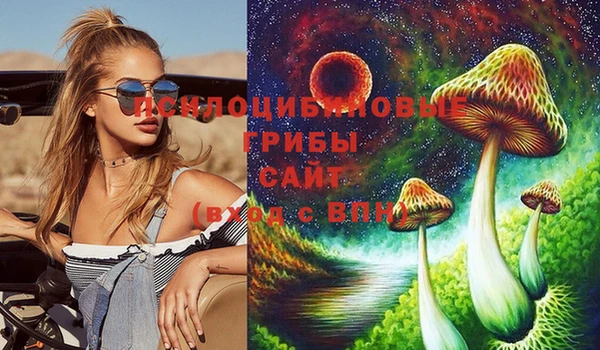 индика Инсар