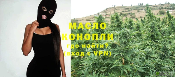 крисы Инта