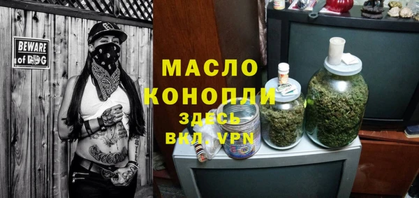 крисы Инта