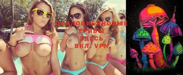 индика Инсар
