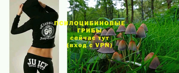 мет Козловка