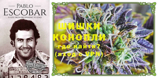 PSILOCYBIN Козельск