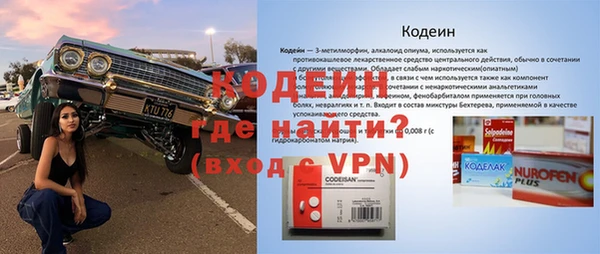 крисы Инта