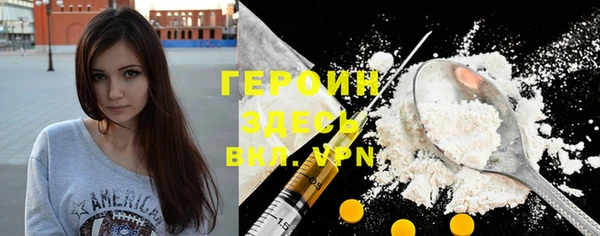 индика Инсар