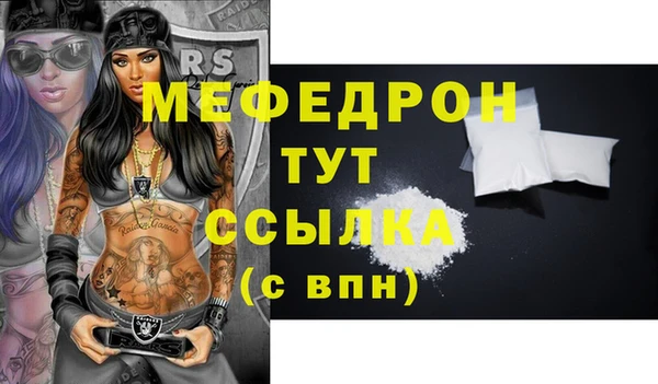 индика Инсар