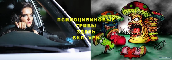 ГАЛЛЮЦИНОГЕННЫЕ ГРИБЫ Киренск