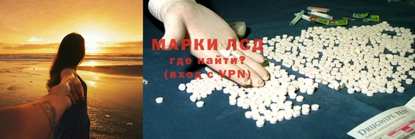 сатива Кодинск