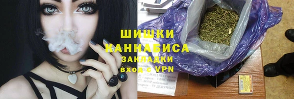 индика Инсар