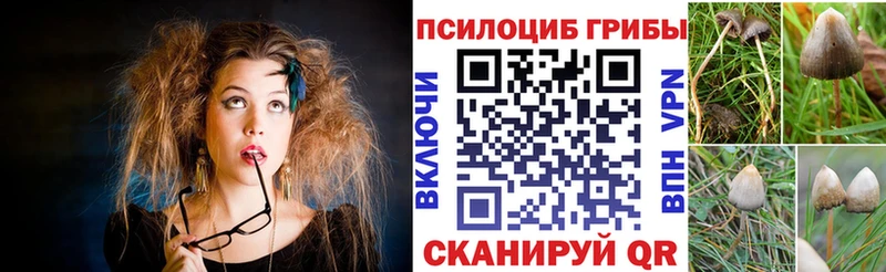 Галлюциногенные грибы Cubensis  Купить  Каменногорск 